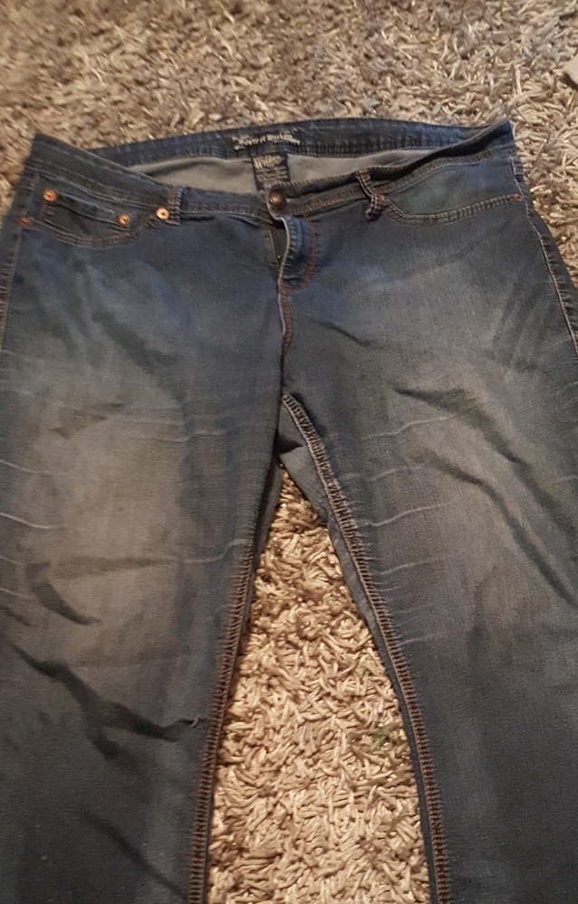 Torrid Jeans